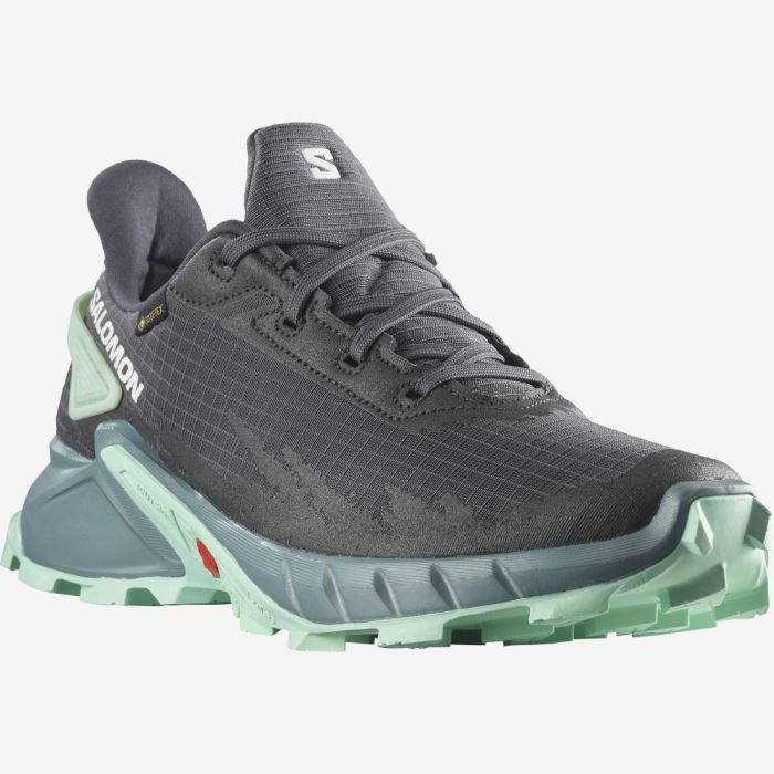 Salomon ALPHACROSS 4 GORE-TEX Trail Løbesko Dame Ebony / Trellis / Yucca | HwQj40bT