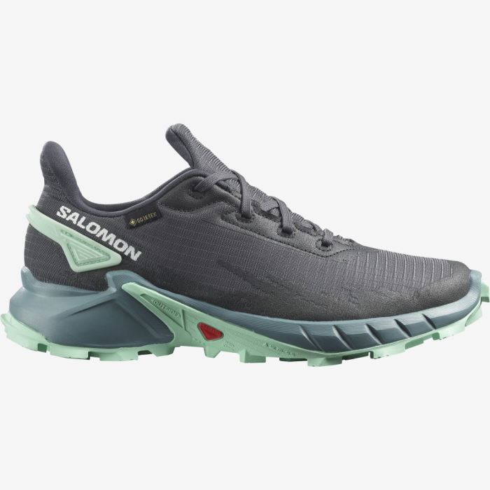 Salomon ALPHACROSS 4 GORE-TEX Trail Løbesko Dame Ebony / Trellis / Yucca | HwQj40bT