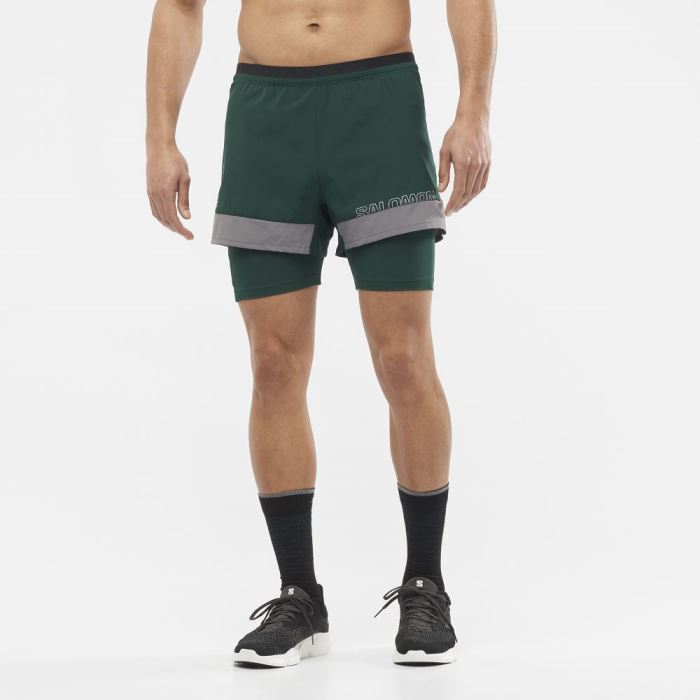 Salomon CROSS 2IN1 Shorts Herre Dyb Grøn | wghDqrSa