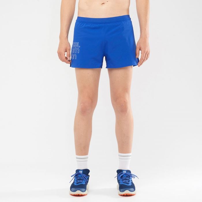 Salomon CROSS 3'' Shorts Herre Blå | 4HC6dze6