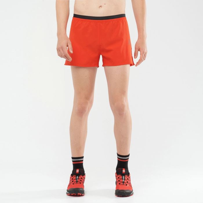 Salomon CROSS 3'' Shorts Herre Rød | 8UmI6h1h