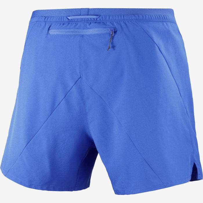 Salomon CROSS 5'' Shorts Herre Blå | YdG6nFi6