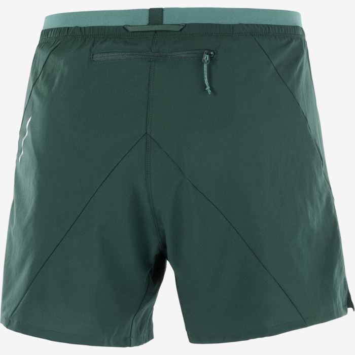 Salomon CROSS 5'' Shorts Herre Dyb Grøn | 5pEd8Icy