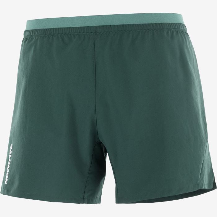 Salomon CROSS 5\'\' Shorts Herre Dyb Grøn | 5pEd8Icy