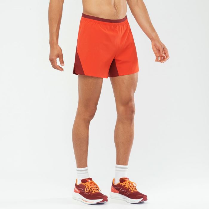 Salomon CROSS 5'' Shorts Herre Rød Mørkerød | DycZrKsi