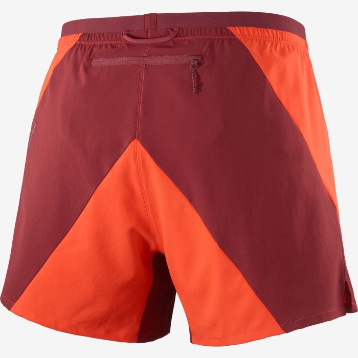 Salomon CROSS 5'' Shorts Herre Rød Mørkerød | DycZrKsi