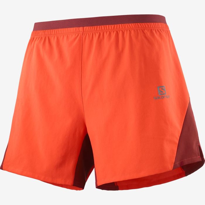 Salomon CROSS 5\'\' Shorts Herre Rød Mørkerød | DycZrKsi