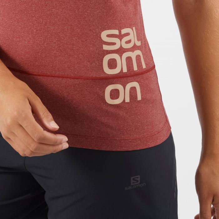 Salomon CROSS RUN GRAPHIC T Shirts Dame Mørkerød | 6O752xFu