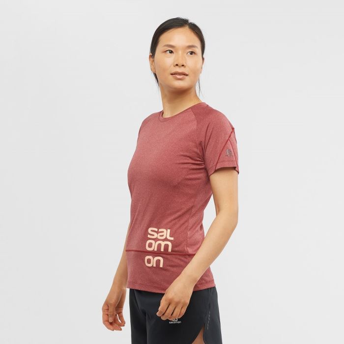 Salomon CROSS RUN GRAPHIC T Shirts Dame Mørkerød | 6O752xFu