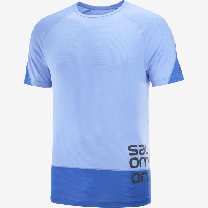 Salomon CROSS RUN GRAPHIC T Shirts Herre Blå | PvXTeFqu