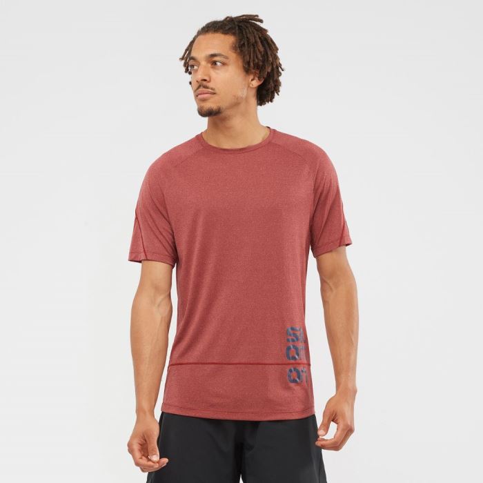 Salomon CROSS RUN GRAPHIC T Shirts Herre Mørkerød Mørke | uVoOGHBx