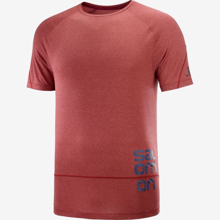 Salomon CROSS RUN GRAPHIC T Shirts Herre Mørkerød Mørke | uVoOGHBx