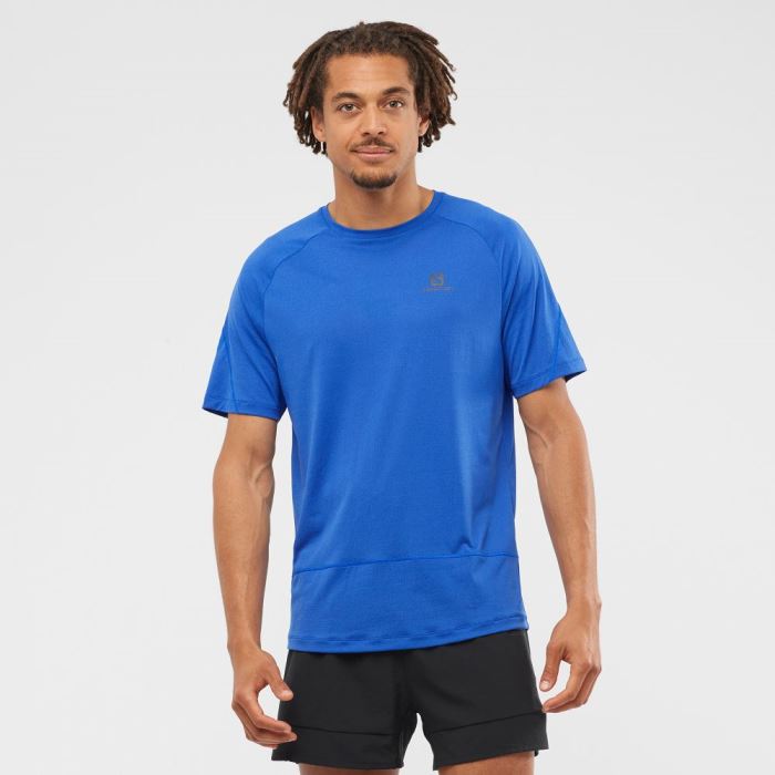 Salomon CROSS RUN T Shirts Herre Blå | VxYHM371