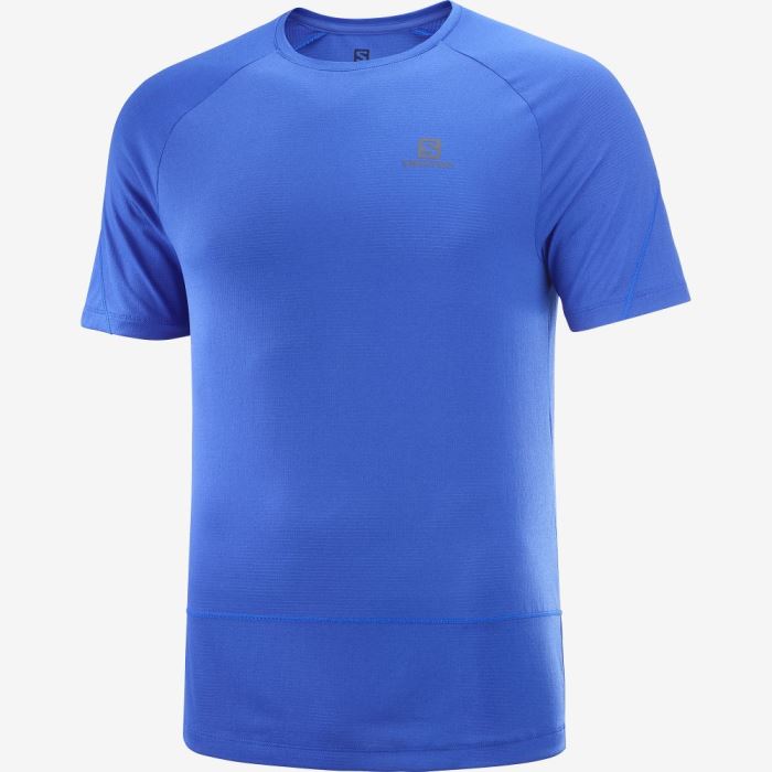 Salomon CROSS RUN T Shirts Herre Blå | VxYHM371