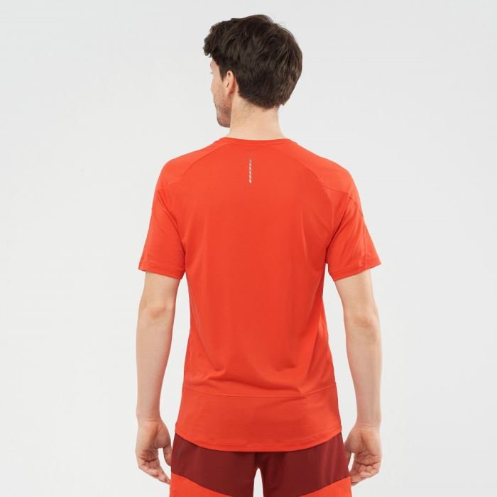 Salomon CROSS RUN T Shirts Herre Rød | 04jm8Pzl