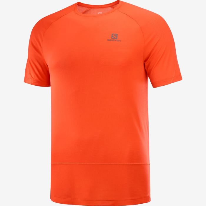 Salomon CROSS RUN T Shirts Herre Rød | 04jm8Pzl