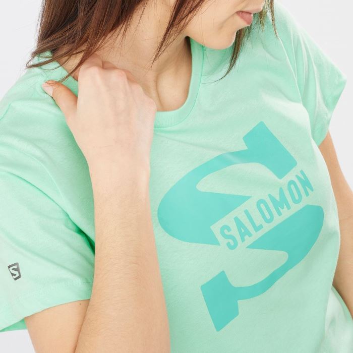 Salomon OUTLIFE BIG LOGO T Shirts Dame Beach Glass | 2LdwrpmX