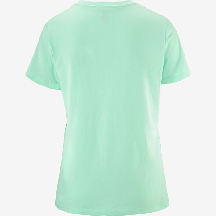 Salomon OUTLIFE BIG LOGO T Shirts Dame Beach Glass | 2LdwrpmX