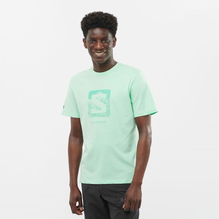 Salomon OUTLIFE LOGO T Shirts Herre Beach Glass | soRwPxVo