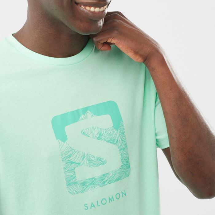 Salomon OUTLIFE LOGO T Shirts Herre Beach Glass | soRwPxVo