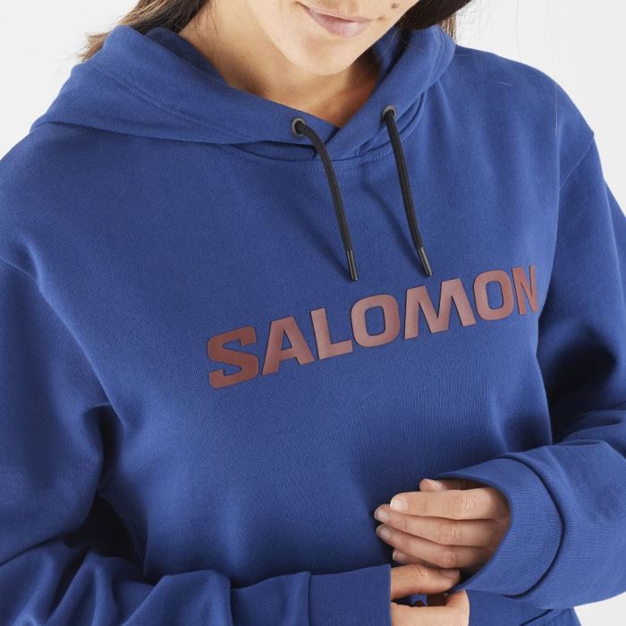 Salomon OUTLIFE LOGO WINTER Mellemlag Dame Mørkeblå Brune | NOUvQVdg