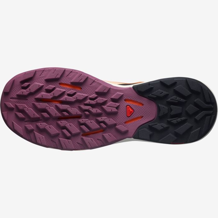 Salomon OUTPULSE GORE-TEX Vandresko Dame Abrikos Sort | MVrwinvd