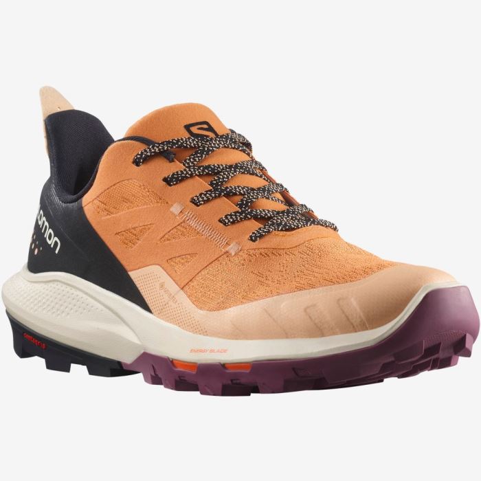 Salomon OUTPULSE GORE-TEX Vandresko Dame Abrikos Sort | MVrwinvd