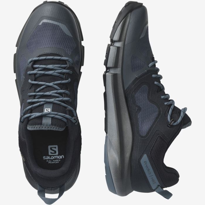 Salomon PREDICT HIKE GORE-TEX Vandresko Herre Sort | iK2n6iK4