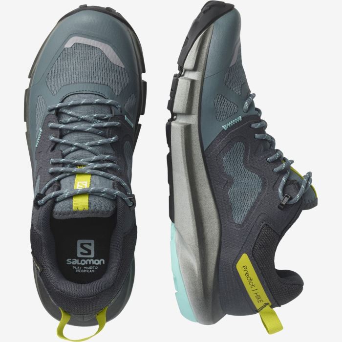 Salomon PREDICT HIKE GORE-TEX Vandresko Dame Brune Turkis | rXAPnu9A