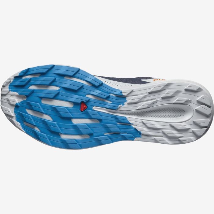 Salomon PULSAR TRAIL GORE-TEX Trail Løbesko Herre Indigo | OItODN5U