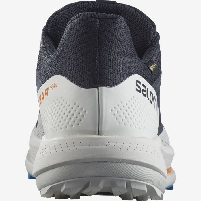 Salomon PULSAR TRAIL GORE-TEX Trail Løbesko Herre Indigo | OItODN5U