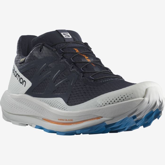 Salomon PULSAR TRAIL GORE-TEX Trail Løbesko Herre Indigo | OItODN5U