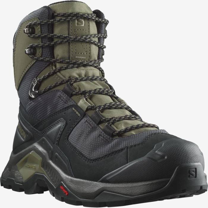 Salomon QUEST ELEMENT GORE-TEX Vandresko Herre Sort Dyb Grøn Olivengrøn | 1GlQys67