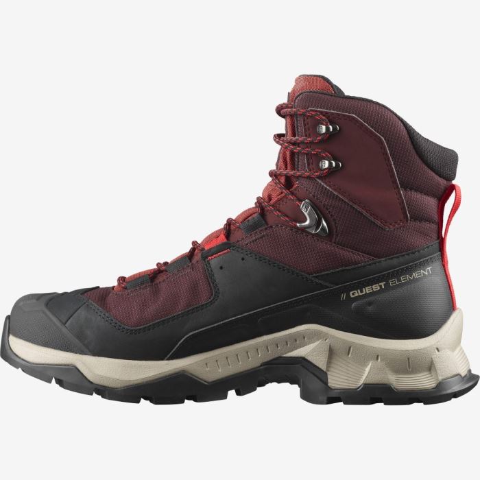 Salomon QUEST ELEMENT GORE-TEX Vandresko Herre Chokolade Lilla Brune | RgLY7zM2