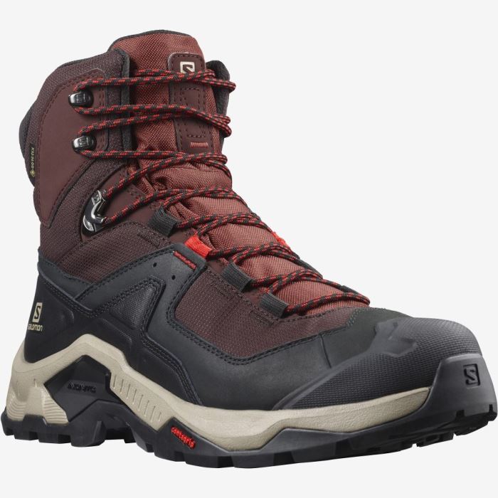 Salomon QUEST ELEMENT GORE-TEX Vandresko Herre Chokolade Lilla Brune | RgLY7zM2