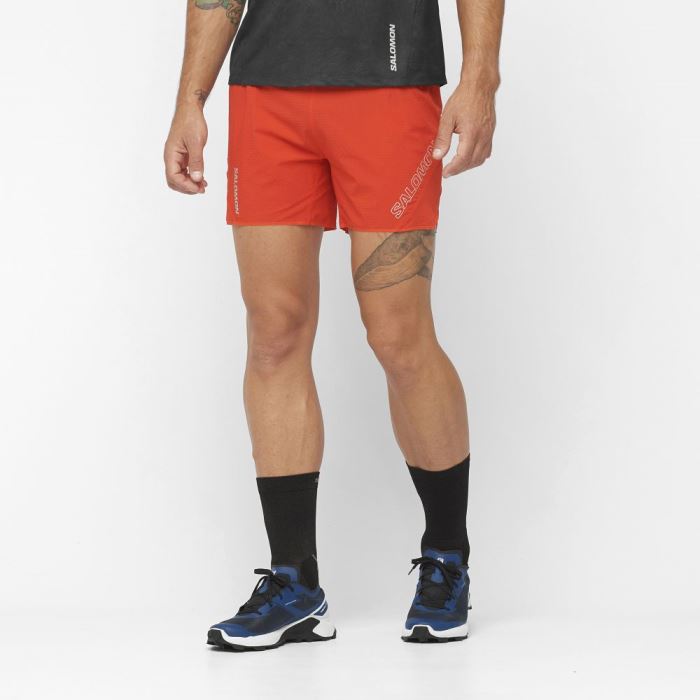 Salomon SENSE AERO 5'' Shorts Herre Rød | FAPsy8Td