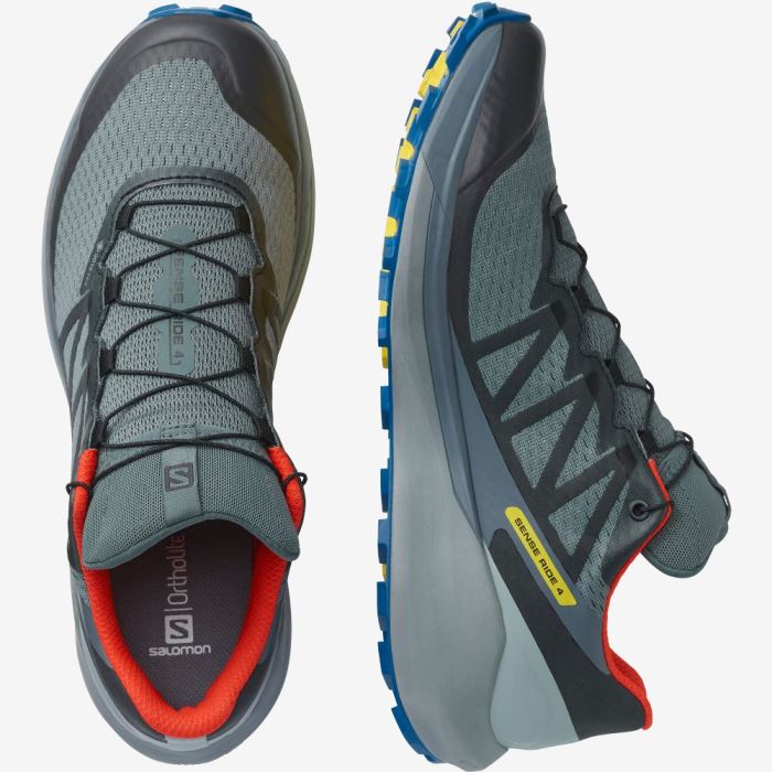 Salomon SENSE RIDE 4 GORE-TEX INVISIBLE FIT Trail Løbesko Herre Lyserød | 73toO8pl