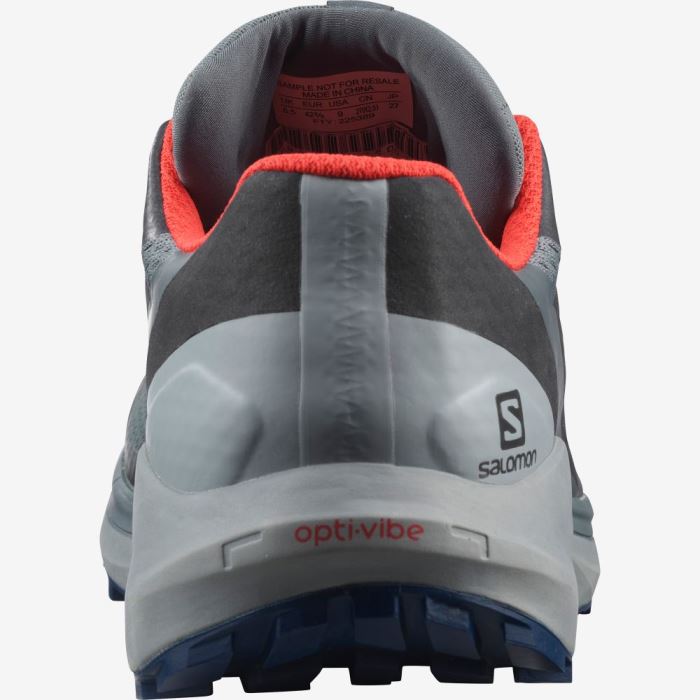 Salomon SENSE RIDE 4 GORE-TEX INVISIBLE FIT Trail Løbesko Herre Lyserød | 73toO8pl