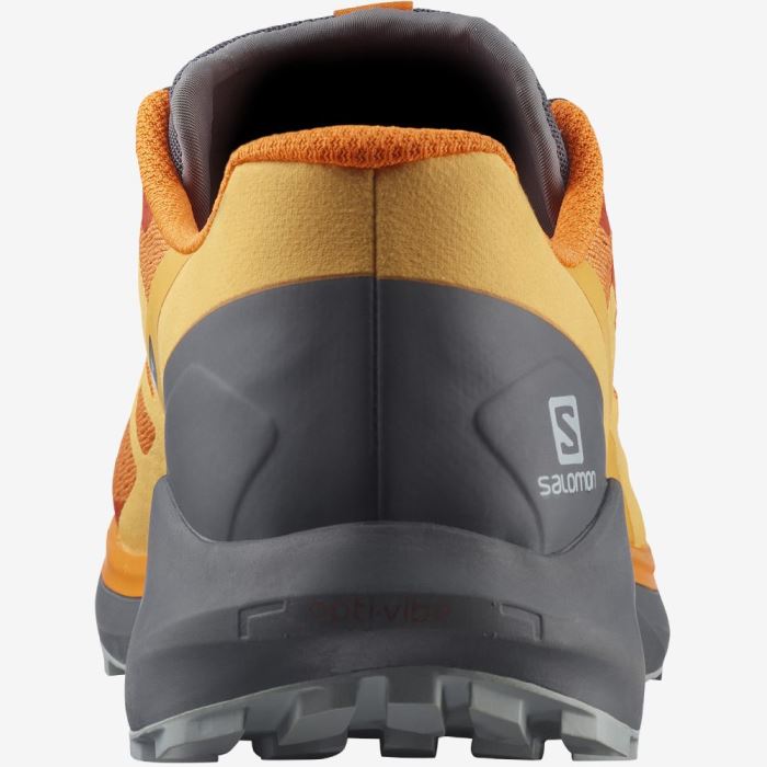 Salomon SENSE RIDE 4 Trail Løbesko Herre Orange | plITiKyO