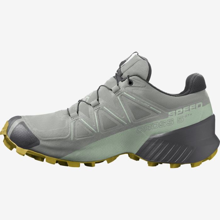 Salomon SPEEDCROSS 5 GORE-TEX Trail Løbesko Dame Wrought Iron / Spray / Antique Moss | PEJ7IAJn