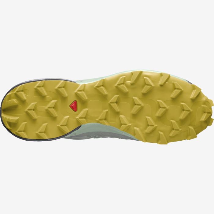 Salomon SPEEDCROSS 5 GORE-TEX Trail Løbesko Dame Wrought Iron / Spray / Antique Moss | PEJ7IAJn