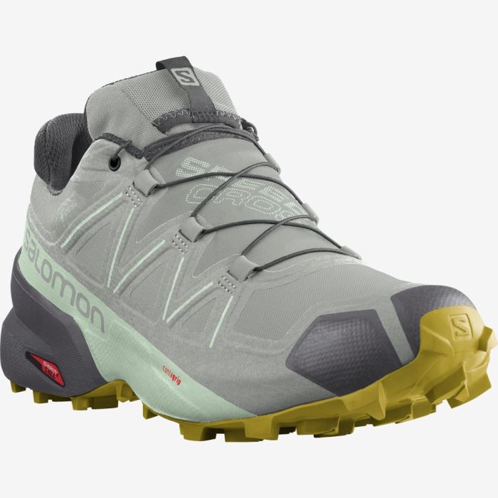 Salomon SPEEDCROSS 5 GORE-TEX Trail Løbesko Dame Wrought Iron / Spray / Antique Moss | PEJ7IAJn