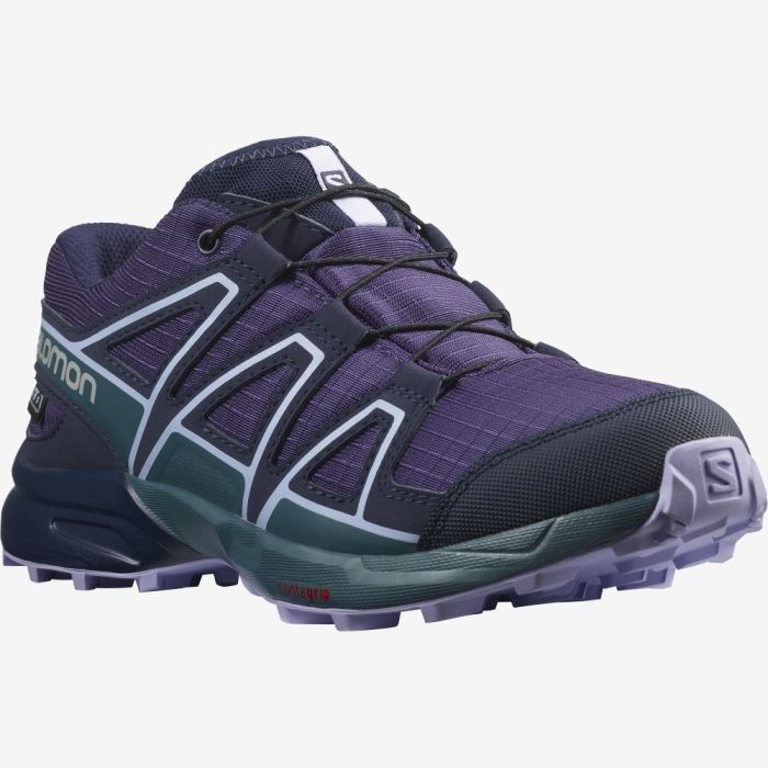 Salomon SPEEDCROSS CLIMASALOMON™ WATERPROOF Vandresko Børn Lilla Blå Lavendel | byP8A4fe