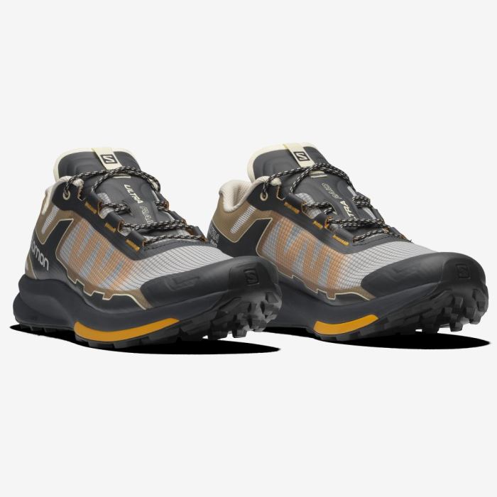 Salomon ULTRA RAID Sneakers Dame Ebony / Bleached Sand / Autumn Blaze | eKh98aCo