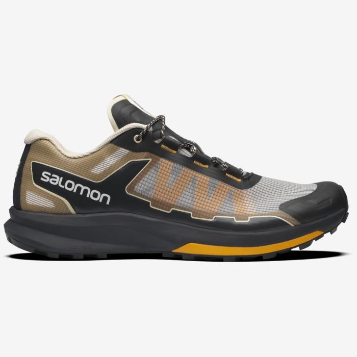 Salomon ULTRA RAID Sneakers Herre Ebony / Bleached Sand / Autumn Blaze | 3RAt6qxc