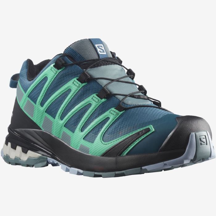 Salomon XA PRO 3D v8 GORE-TEX Trail Løbesko Dame Blå Mintgrønne | GPYCW6tU