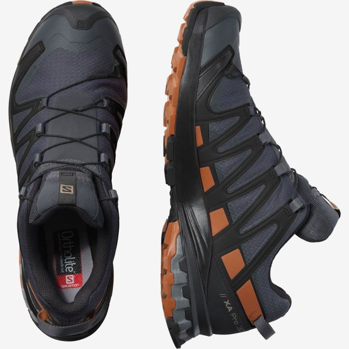 Salomon XA PRO 3D v8 GORE-TEX Trail Løbesko Herre Sort | r2mx6Oea