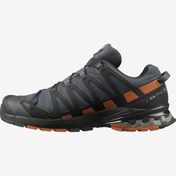 Salomon XA PRO 3D v8 GORE-TEX Trail Løbesko Herre Sort | r2mx6Oea