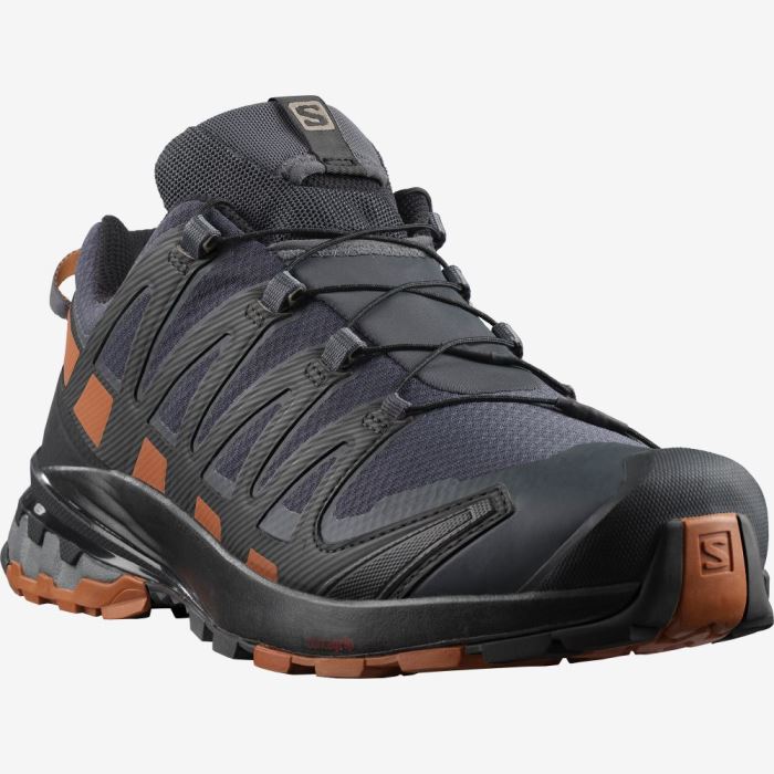 Salomon XA PRO 3D v8 GORE-TEX Trail Løbesko Herre Sort | r2mx6Oea