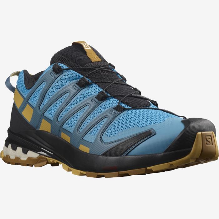 Salomon XA PRO 3D v8 Trail Løbesko Herre Brune | rXRqpte0